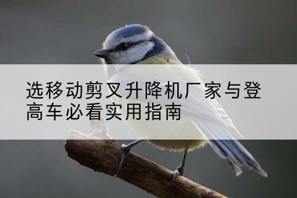 分宜电动升降机厂家-选移动剪叉升降机厂家与登高车必看实用指南