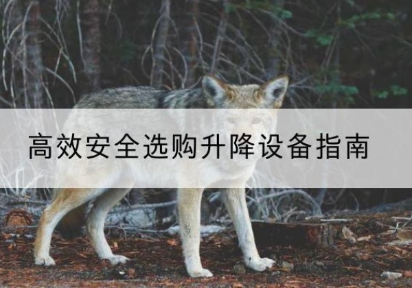 分宜升降货梯厂家推荐-*安全选购升降设备指南