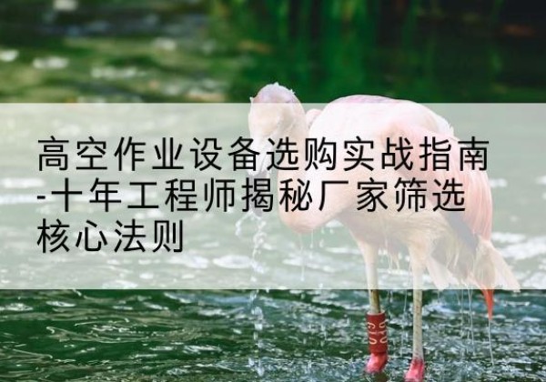 分宜剪叉式升降机厂家-高空作业设备选购实战指南-十年工程师揭秘厂家筛选核心法则